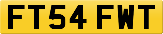 FT54FWT